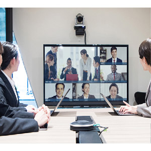 VIDEO CONFERENCING SYSTEMS