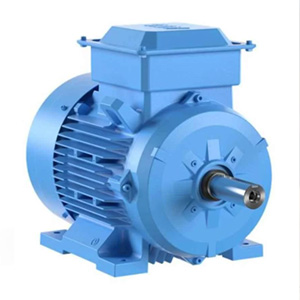 Induction Motor Foot 3 Phase Flange Mounted