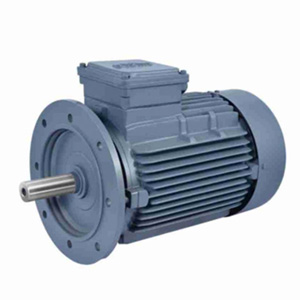 Induction Motor Flange Foot Mounted 1 Phase
