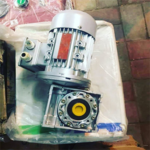 Worm Reduce Gear Box